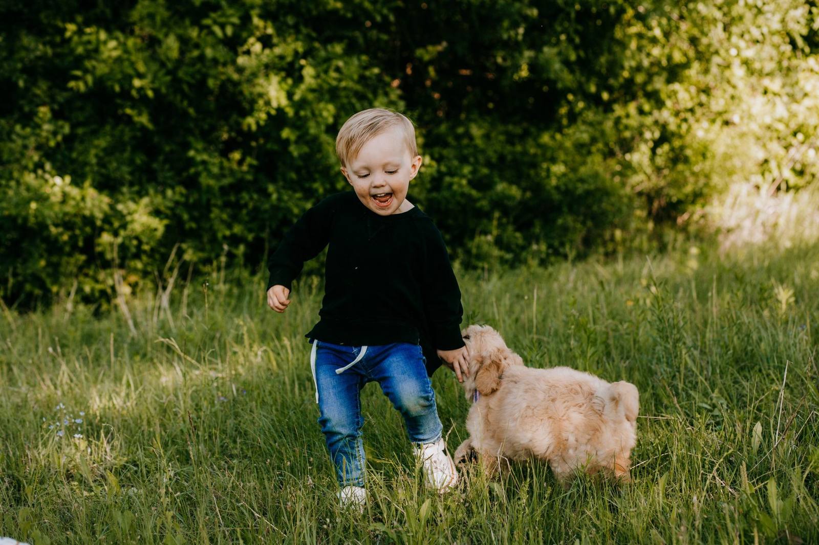 A young boy playing with a Goldendoodle puppy at Lonestar Doodles in Weatherford, Texas